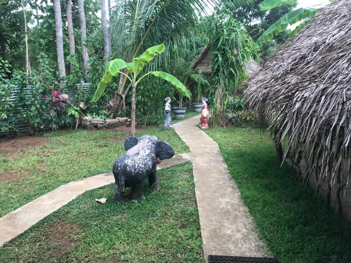 Sigiriya Village Home Stay Zewnętrze zdjęcie