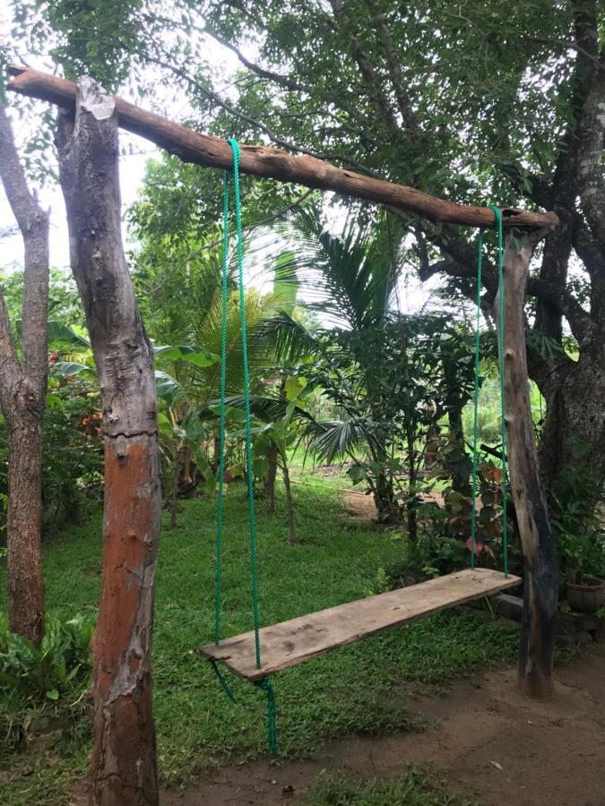 Sigiriya Village Home Stay Zewnętrze zdjęcie