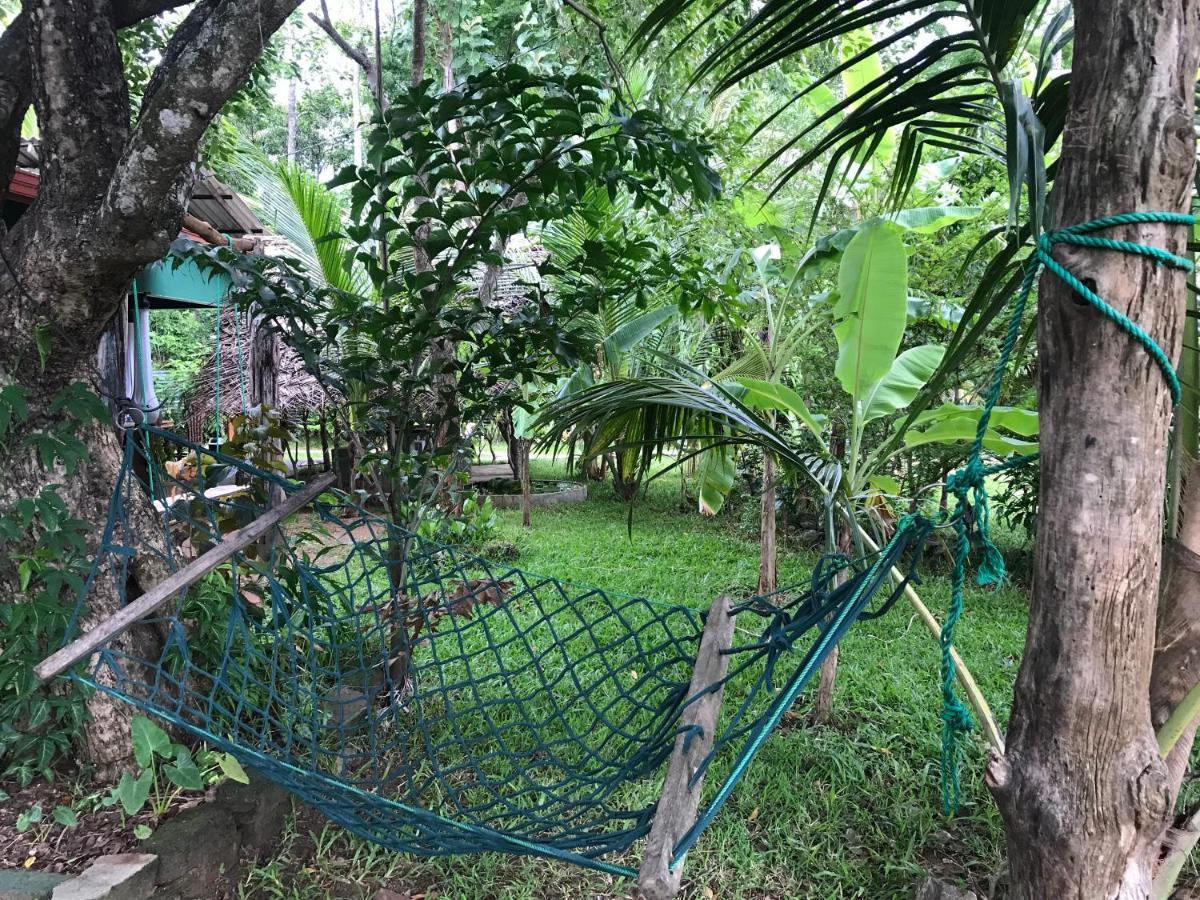 Sigiriya Village Home Stay Zewnętrze zdjęcie